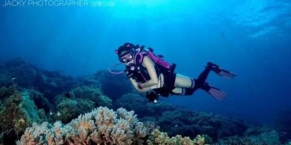 气质酒窝美女张庭，一个极其努力的女人